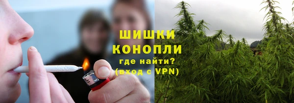 ECSTASY Медногорск