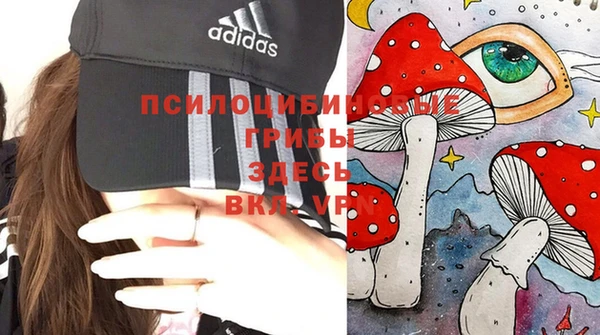 ECSTASY Медногорск