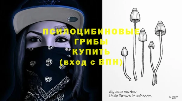 ECSTASY Медногорск