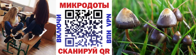 Псилоцибиновые грибы Cubensis  цена наркотик  Таганрог 