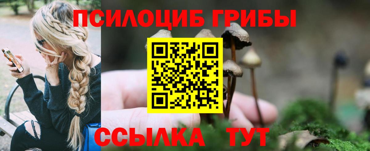 Псилоцибиновые грибы Magic Shrooms  сколько стоит  Таганрог  Галлюциногенные грибы Cubensis  Вход с VPN 